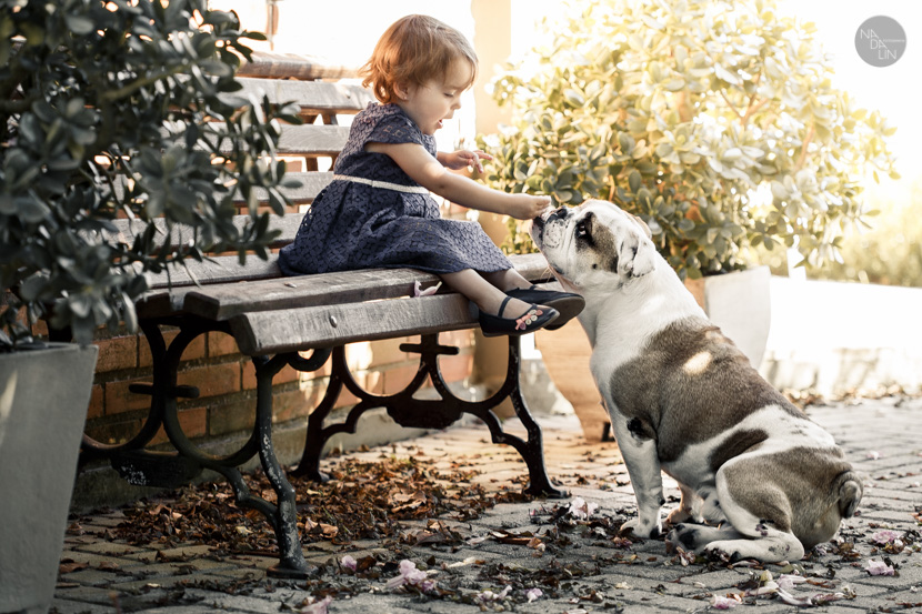 Infantil & Pets – Sideibem©