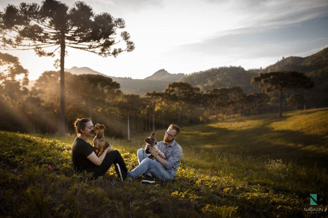 nadalin fotografia pet animais de estimação