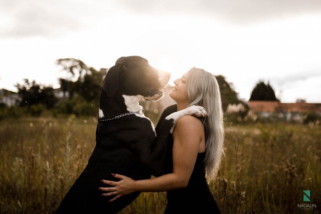 Nadalin Fotografia - pet fotos ensaios