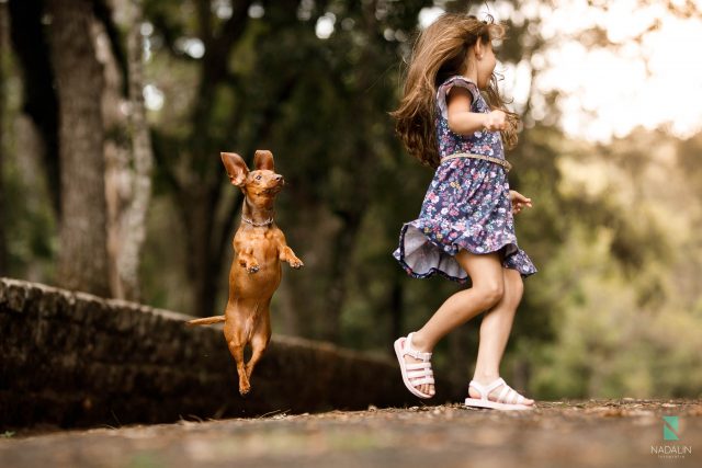 nadalin-fotografia-pet-fotos-ensaio-00011