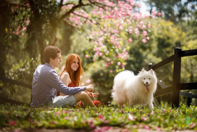 nadalin-fotografia-pet-fotos-familia-00004