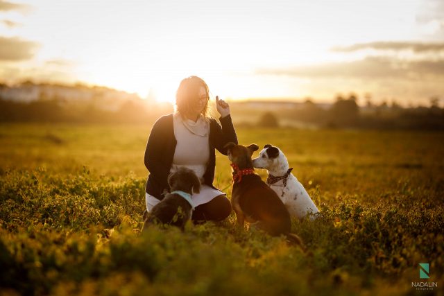 fotografia de animais