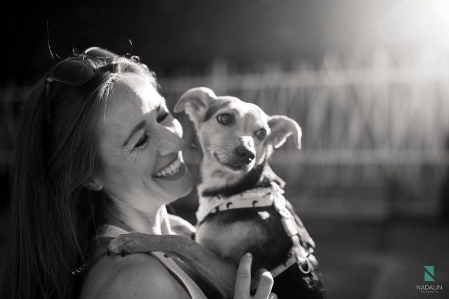 fotografar com meu pet