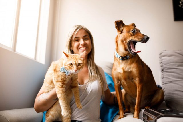 fotos com gato e cachorro
